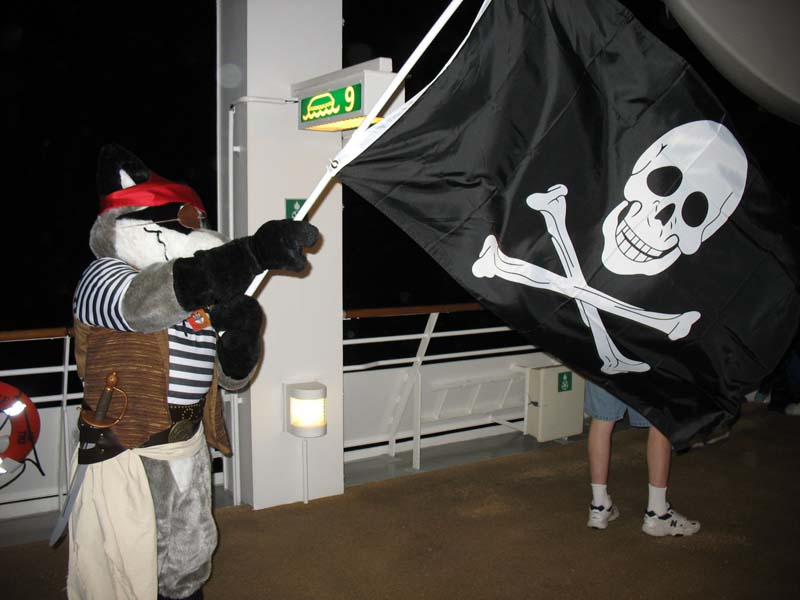 186 pirate coon.jpg